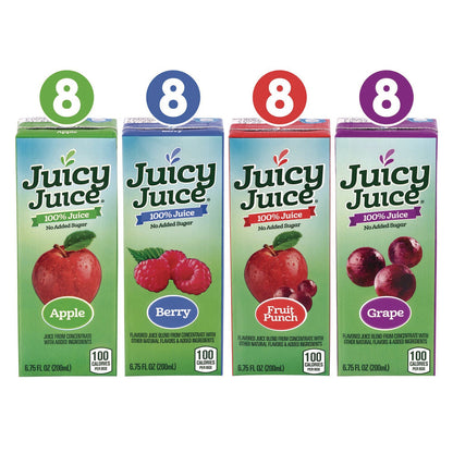 juicy-juice-r-juice-box-variety-pack-assorted-flavors-6-75-oz-box-32-carton-grr22002370_4