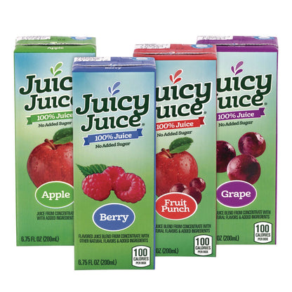 juicy-juice-r-juice-box-variety-pack-assorted-flavors-6-75-oz-box-32-carton-grr22002370_5