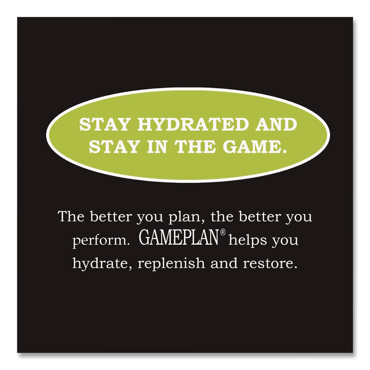 niagara-r-bottling-gameplan-sports-drink-lemon-lime-20-oz-bottle-24-carton-ngbgmp20z24pll_3