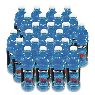 niagara-r-bottling-gameplan-sports-drink-mixed-berry-20-oz-bottle-24-carton-ngbgmp20z24pmb_2