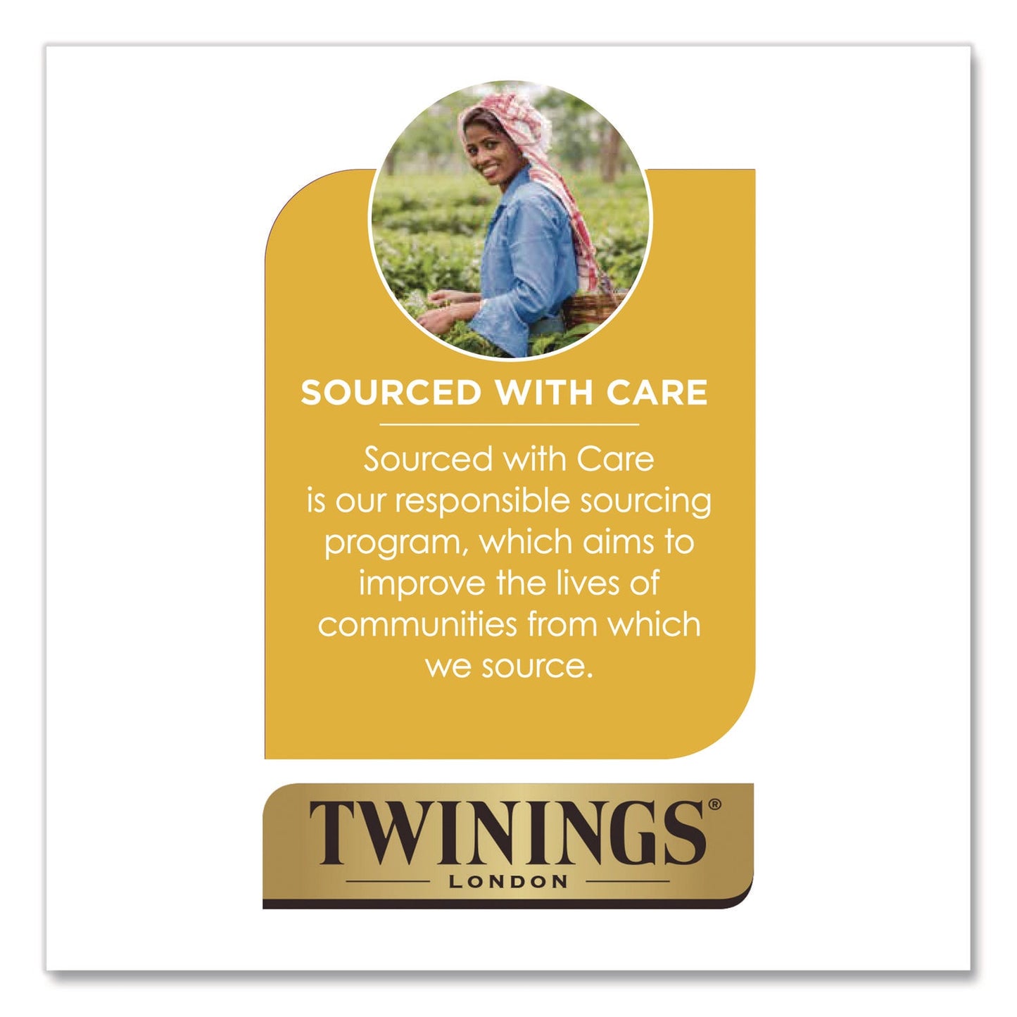 twinings-r-tea-k-cups-decaf-green-tea-0-11-oz-24-box-twgtna90557_9