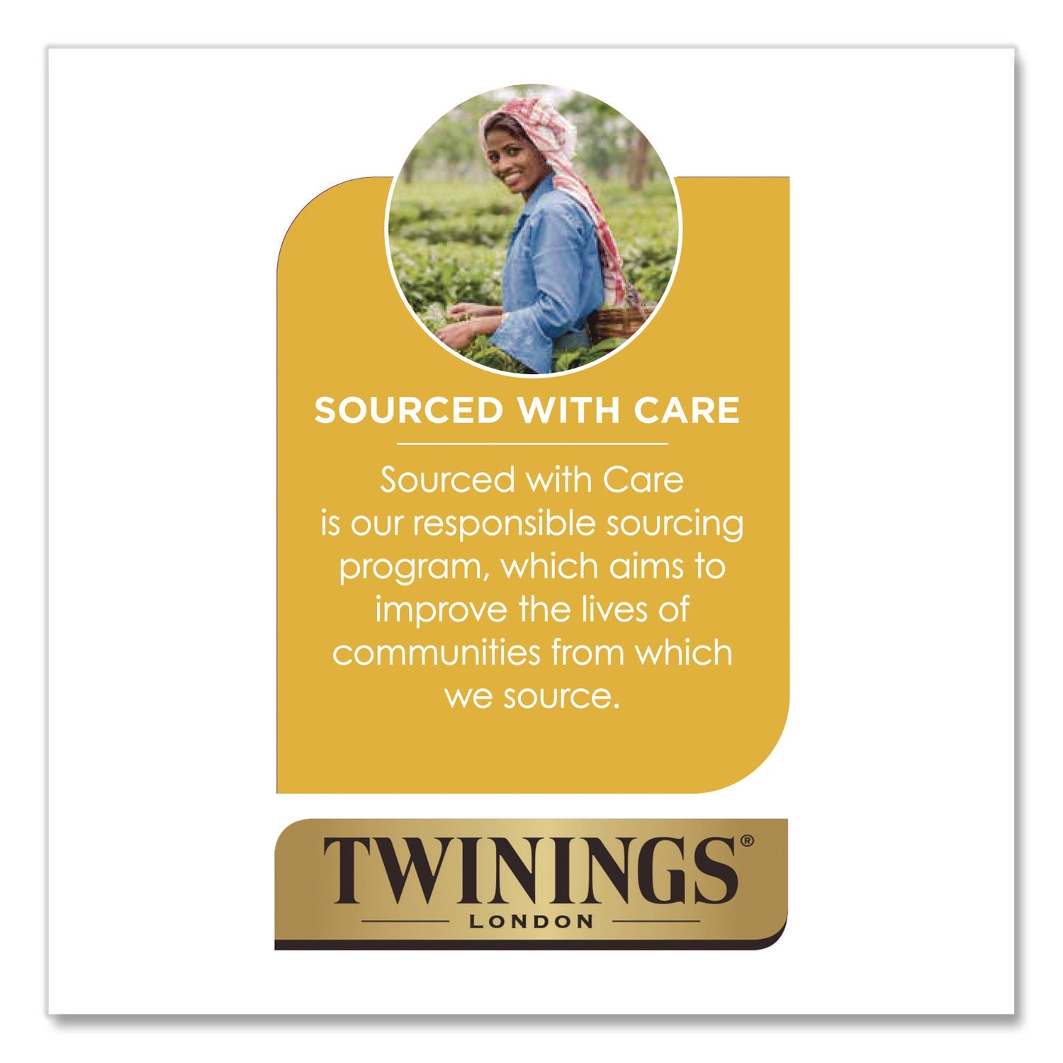 twinings-r-tea-k-cups-decaf-green-tea-0-11-oz-24-box-twgtna90557_9