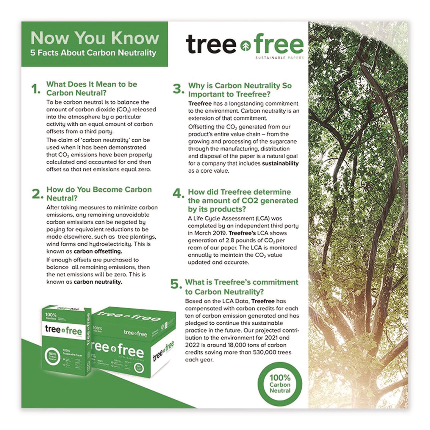 TreeZero™ TreeFree Multipurpose Paper, 92 Bright, 20 lb Bond Weight, 8.5 x 11, White, 500 Sheets/Ream, 10 Reams/Carton (TPPTFLTR10)