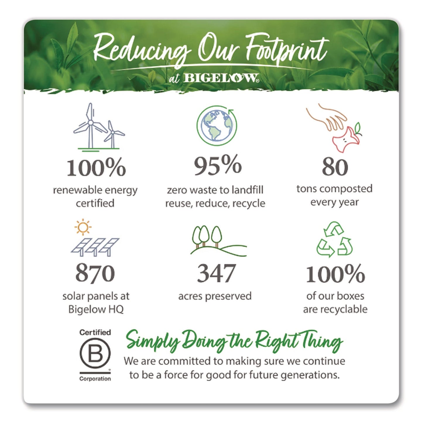 bigelow-r-benefits-wellness-tea-bags-assorted-flavors-64-box-btcrcb50568_6