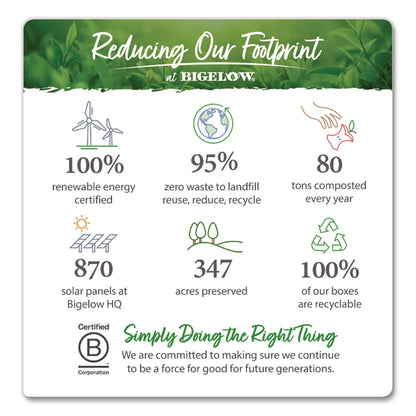 bigelow-r-benefits-wellness-tea-bags-assorted-flavors-64-box-btcrcb50568_6