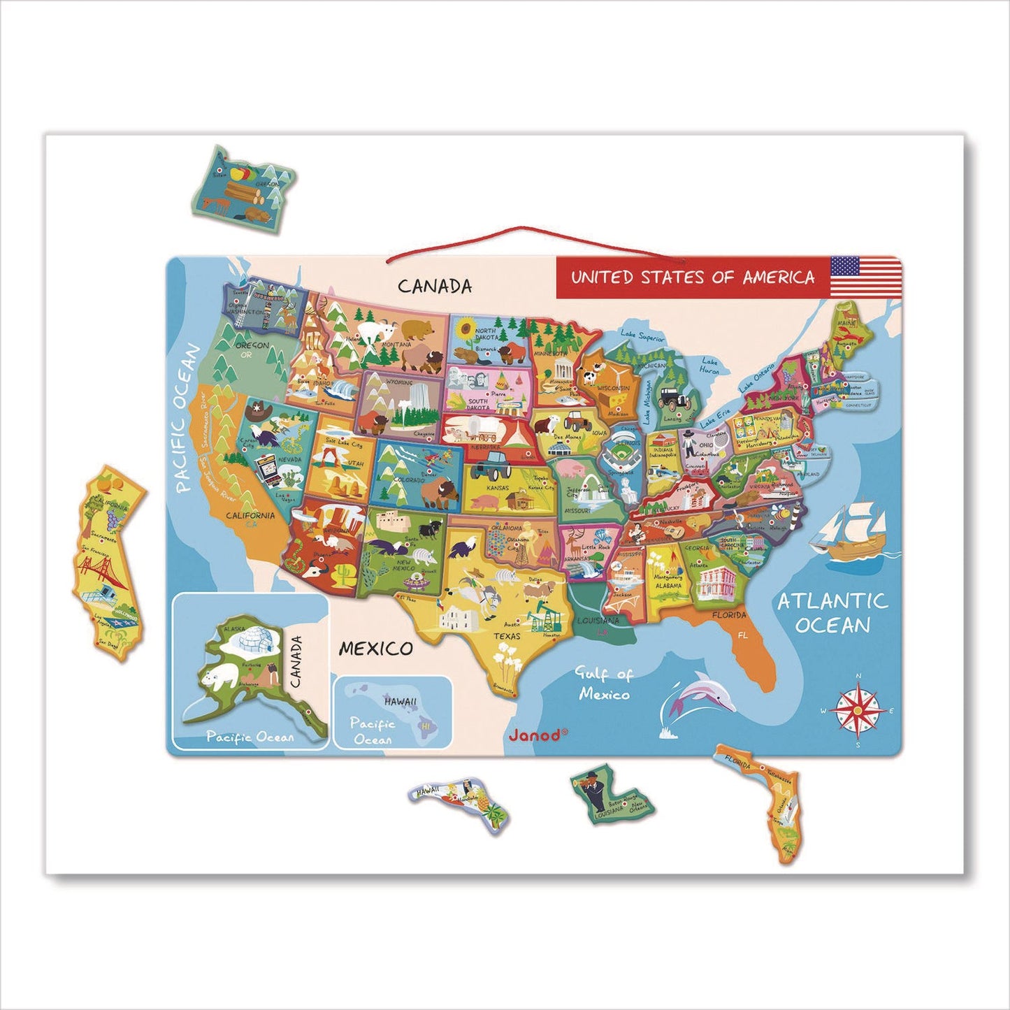 janod-r-cardboard-puzzle-united-states-map-puzzle-48-pieces-ages-7-to-12-juyj05487_2