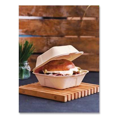 vegware-nourish-molded-fiber-takeout-containers-compostable-5-9-x-5-9-x-2-9-white-sugarcane-400-carton-vegvwhc6nfa_3