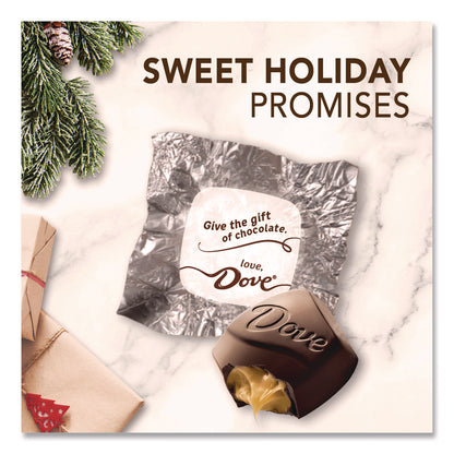 Dove® Chocolate Promises Frosty and Festive Dark Chocolate and Sea Salt Caramel Candy, 7.94 oz Bag (DOEMMM59122)