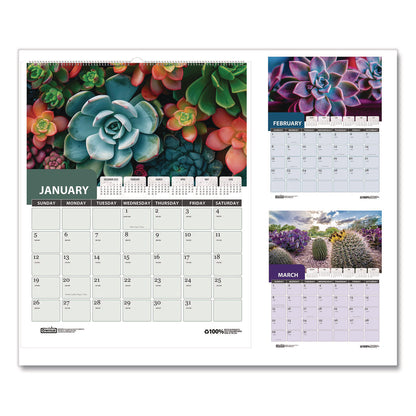 House of Doolittle Recycled Succulent & Cacti Wall Calendar, January 2027 to December 2027, 11" x 14" (HOD317)