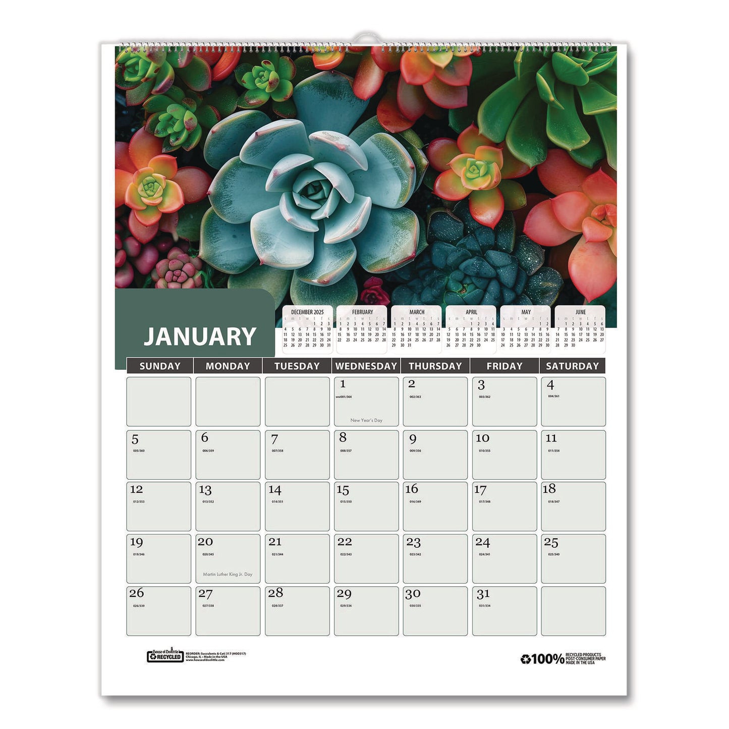 House of Doolittle Recycled Succulent & Cacti Wall Calendar, January 2027 to December 2027, 11" x 14" (HOD317)