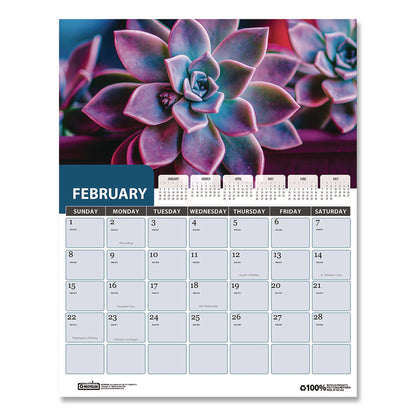 House of Doolittle Recycled Succulent & Cacti Wall Calendar, January 2027 to December 2027, 11" x 14" (HOD317)