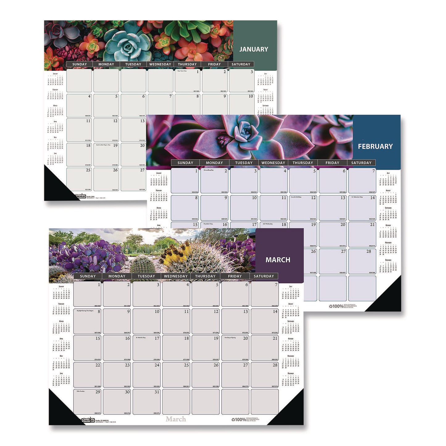 House of Doolittle™ Recycled Succulent and Cacti Desk Pad Calendar, 17 x 22, Multicolor Sheets, Black Corners, 12-Month (Jan to Dec): 2026 (HOD121)