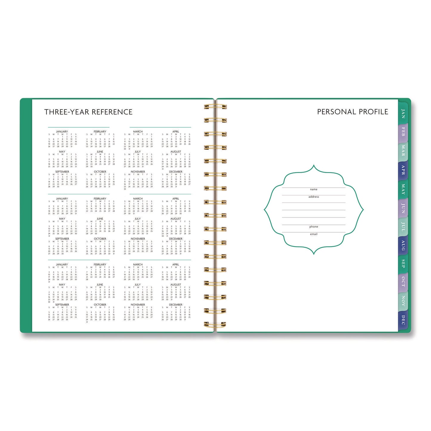 AT-A-GLANCE® Badge Geo Weekly/Monthly Planner, 8.75 x 7, Green Cover, 13-Month: Jan 2026 to Jan 2027 (AAG1753G805)