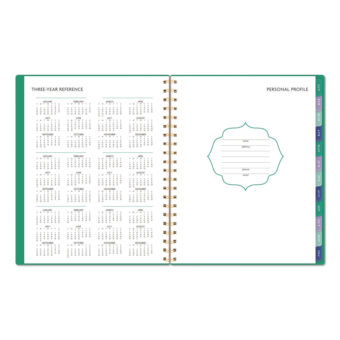 AT-A-GLANCE® Badge Geo Weekly/Monthly Planner, 11 x 8.5, Green Cover, 13-Month (Jan-Jan): 2026 (AAG1753G905)