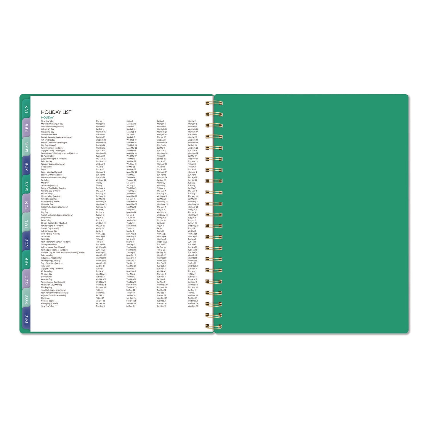 AT-A-GLANCE® Badge Geo Weekly/Monthly Planner, 11 x 8.5, Green Cover, 13-Month (Jan-Jan): 2026 (AAG1753G905)