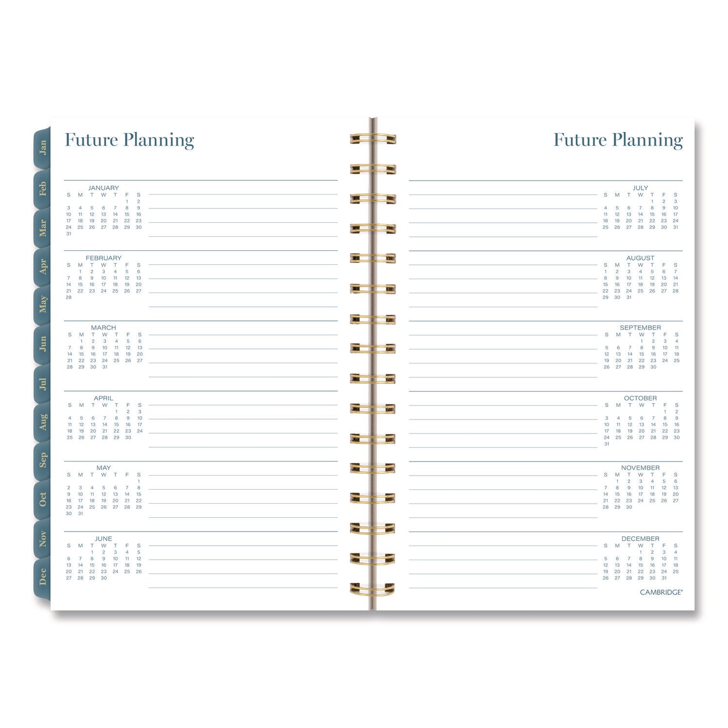 Cambridge® Midnight Garden Weekly/Monthly Planner, 8.5 x 5.5, Floral Artwork, Black/Pink/Green Cover, 12-Month (Jan-Dec): 2026 (AAG1768200)