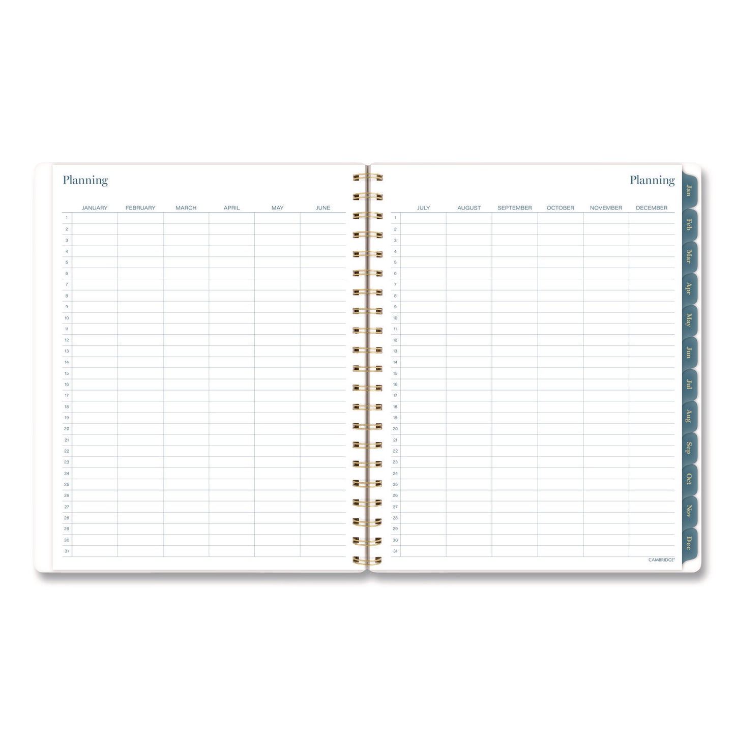 Cambridge® Midnight Garden Weekly/Monthly Planner, 11 x 8.5, Floral Artwork, Black/Pink/Green Cover, 12-Month (Jan-Dec): 2026 (AAG1768905)