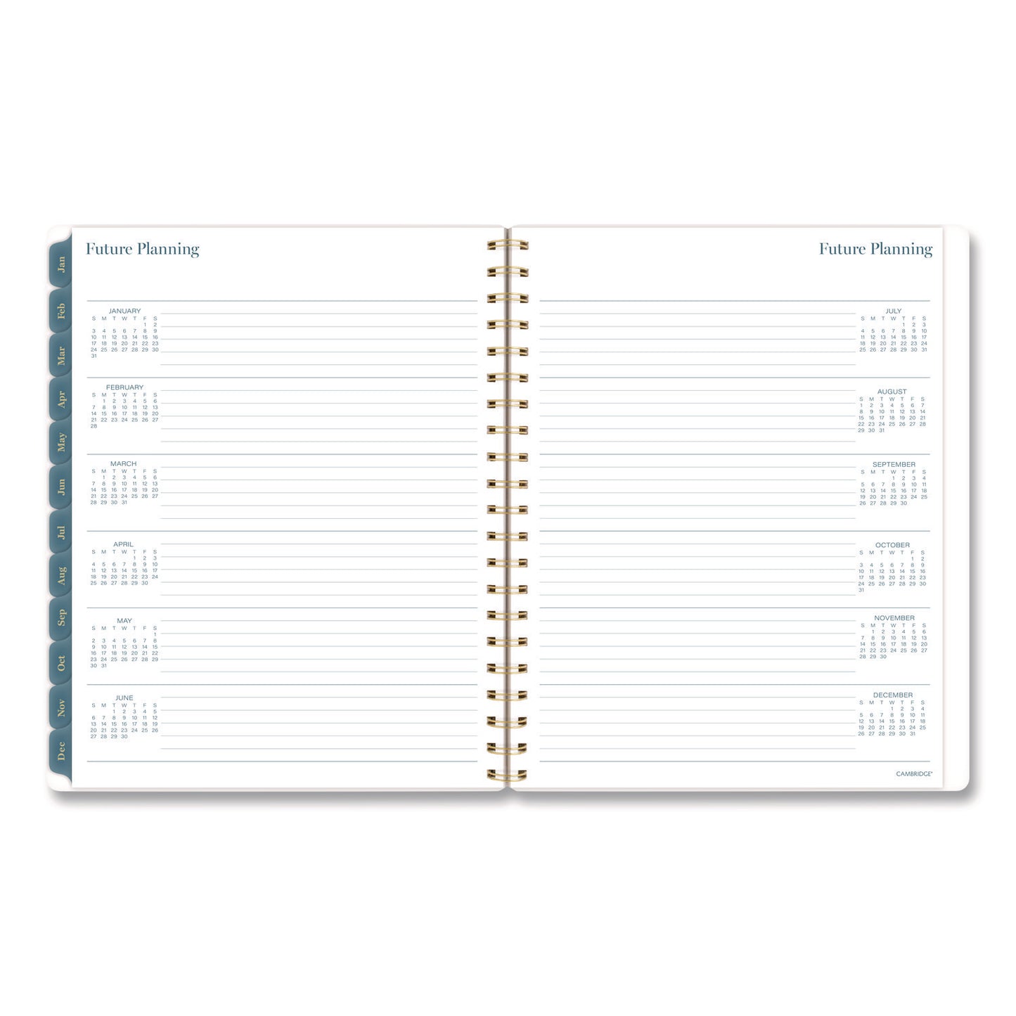 Cambridge® Midnight Garden Weekly/Monthly Planner, 11 x 8.5, Floral Artwork, Black/Pink/Green Cover, 12-Month (Jan-Dec): 2026 (AAG1768905)