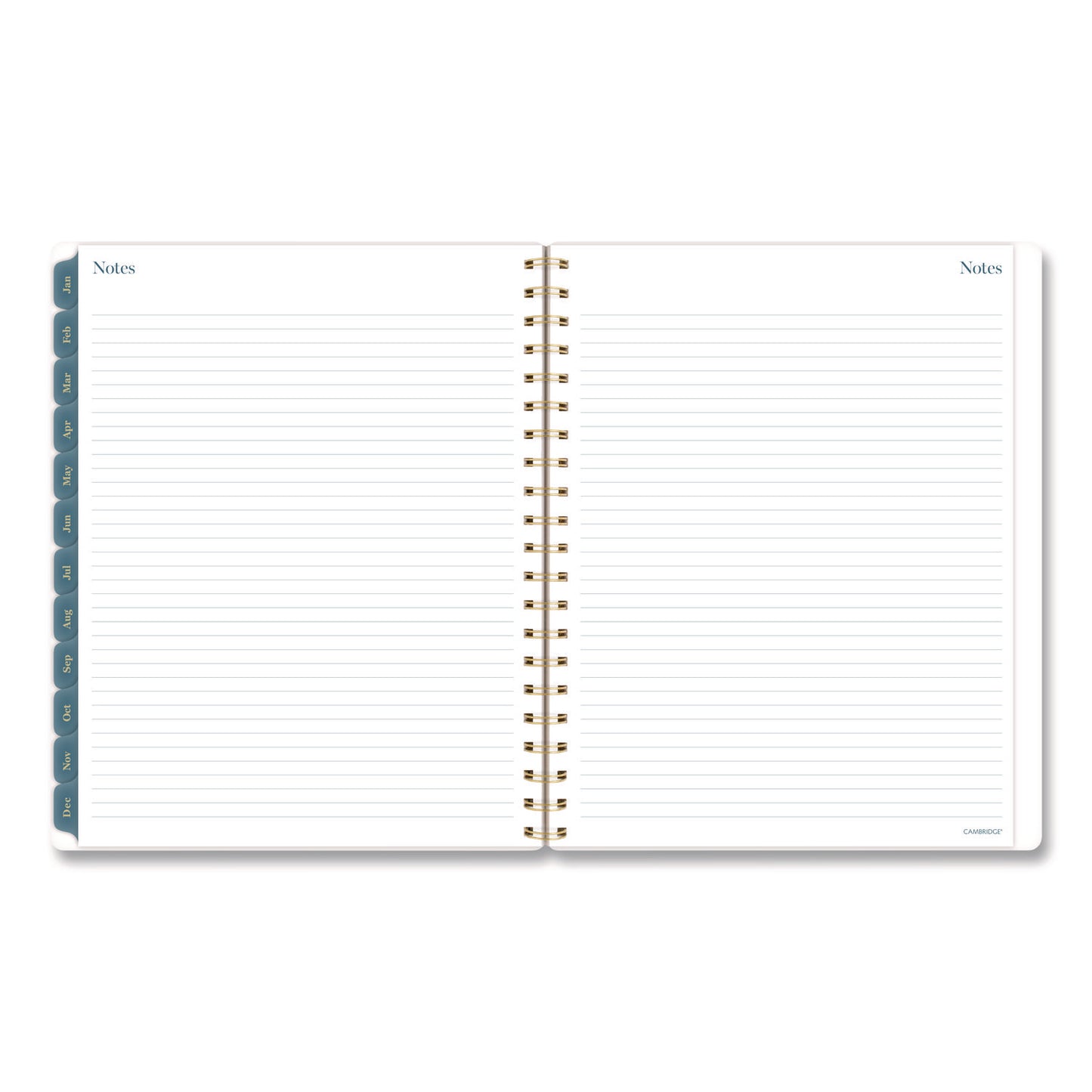 Cambridge® Midnight Garden Weekly/Monthly Planner, 11 x 8.5, Floral Artwork, Black/Pink/Green Cover, 12-Month (Jan-Dec): 2026 (AAG1768905)