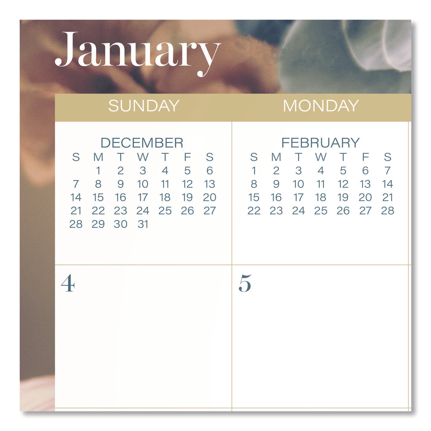 Cambridge® Midnight Garden Monthly Wall Calendar, 15 x 12, Floral Artwork, 12-Month (Jan-Dec): 2026 (AAG1768707)