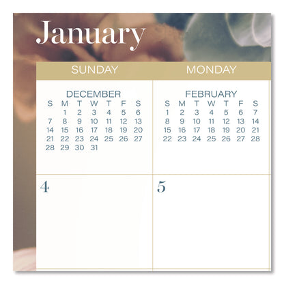 Cambridge® Midnight Garden Monthly Wall Calendar, 15 x 12, Floral Artwork, 12-Month (Jan-Dec): 2026 (AAG1768707)