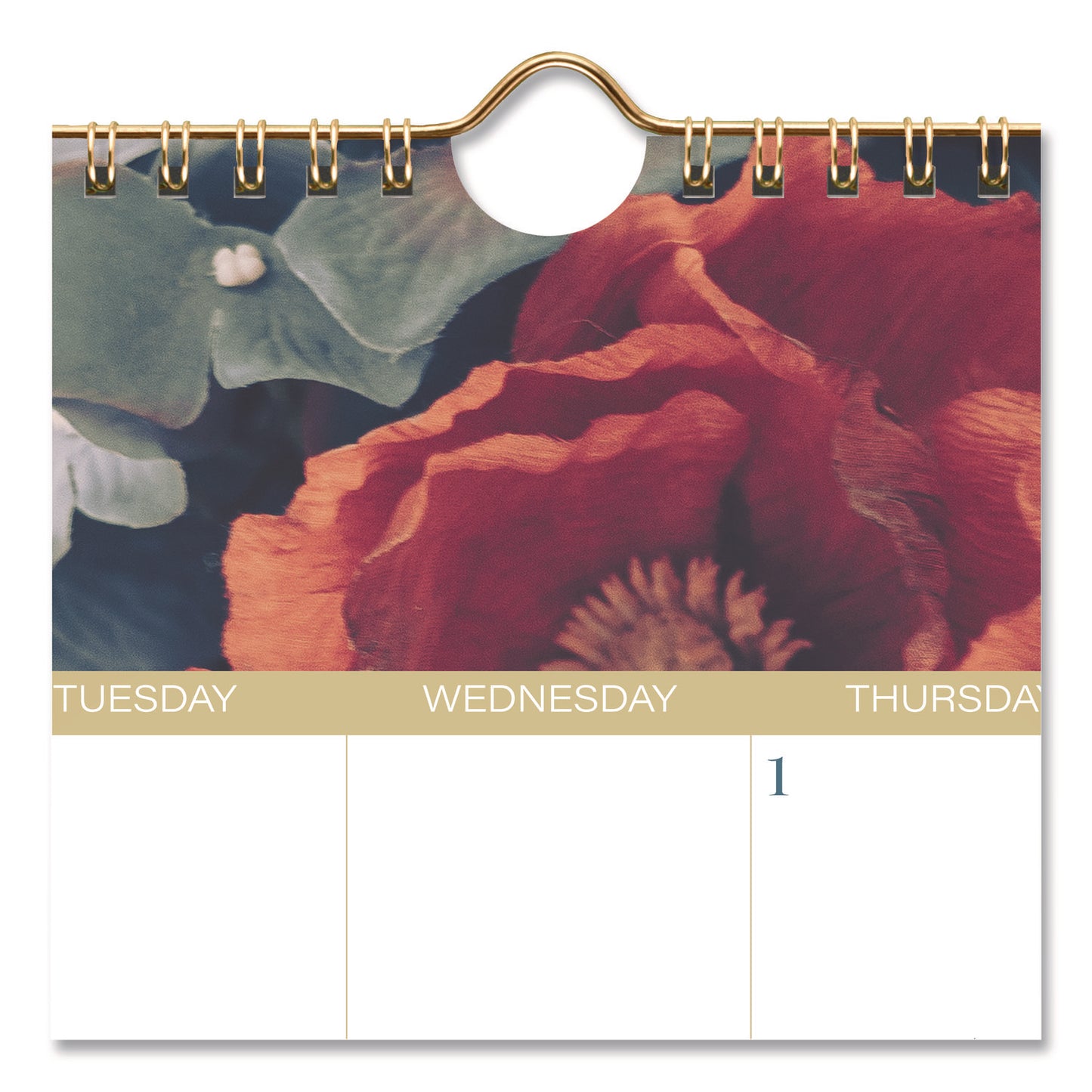 Cambridge® Midnight Garden Monthly Wall Calendar, 15 x 12, Floral Artwork, 12-Month (Jan-Dec): 2026 (AAG1768707)