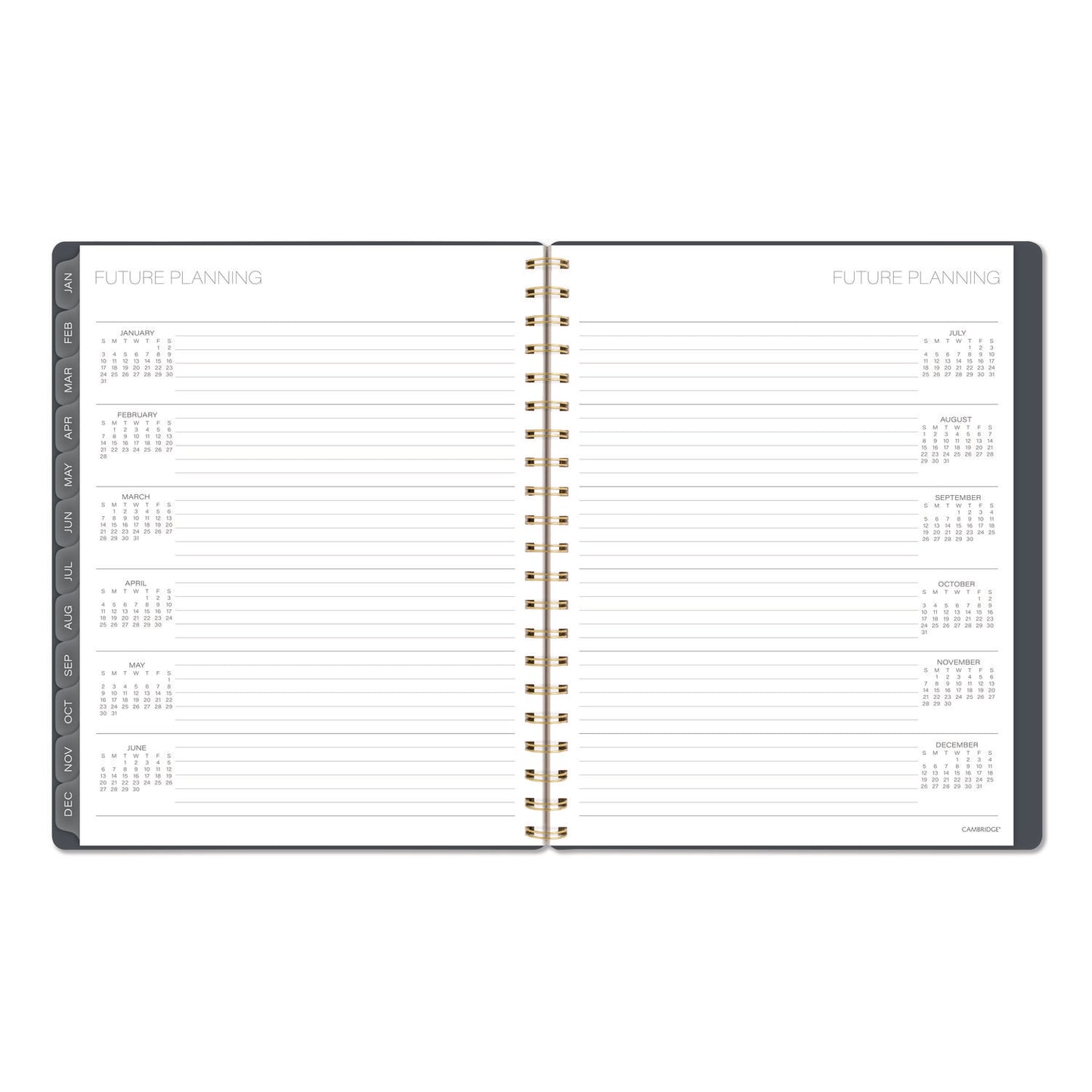 Cambridge® Hera Weekly Monthly Planner, Wavy Lines, 11 x 8.5, Black/Gold Cover, 12-Month (Jan to Dec): 2026 (AAG1765905)