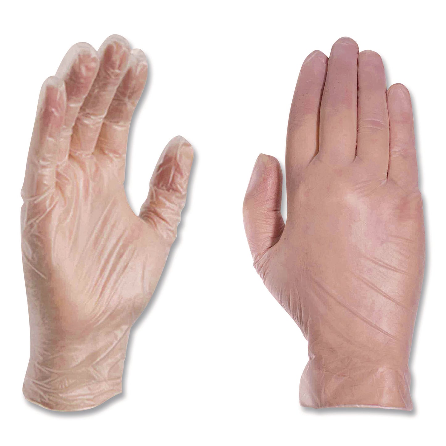 AMMEX® Professional Vinyl Exam Gloves, Powder-Free, Medium, Clear, 100/Box (AXCVPF64100)