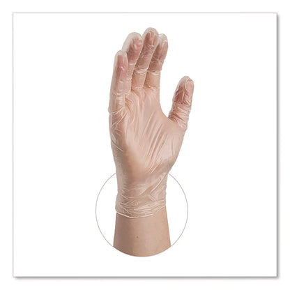 AMMEX® Professional Vinyl Exam Gloves, Powder-Free, Large, Clear, 100/Box (AXCVPF66100)