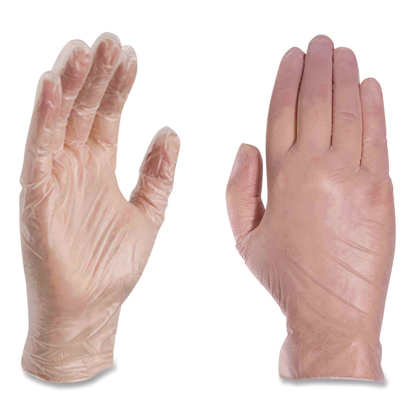 AMMEX® Professional Vinyl Exam Gloves, Powder-Free, Large, Clear, 100/Box (AXCVPF66100)