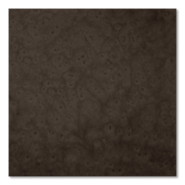 rust-oleum®-universal-premium-spray-paint-hammer-brown-12-oz-aerosol-can-rst245218ea_2