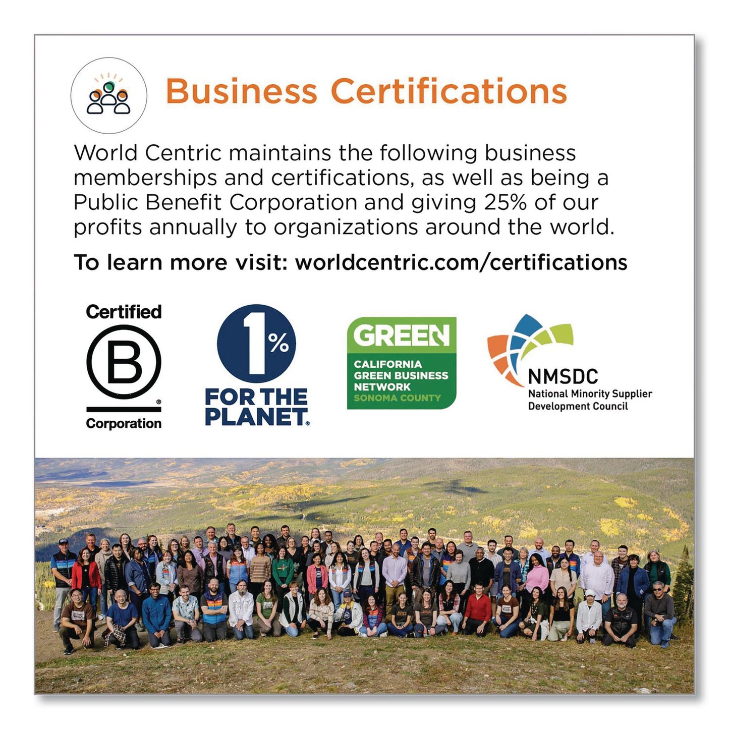 World Centric® Cutlery Dispenser Tower, Holds 125 Spoons, 2.6 x 15.4, Gray, 10/Carton (WORDPCPLS)