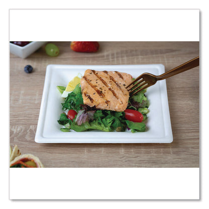 SCT® ChampWare Molded Fiber Tableware, Square Molded Fiber Plate, 8" x 8", White, 125 Plates/Sleeve, 4 Sleeves/Carton (SCH18630WPF)