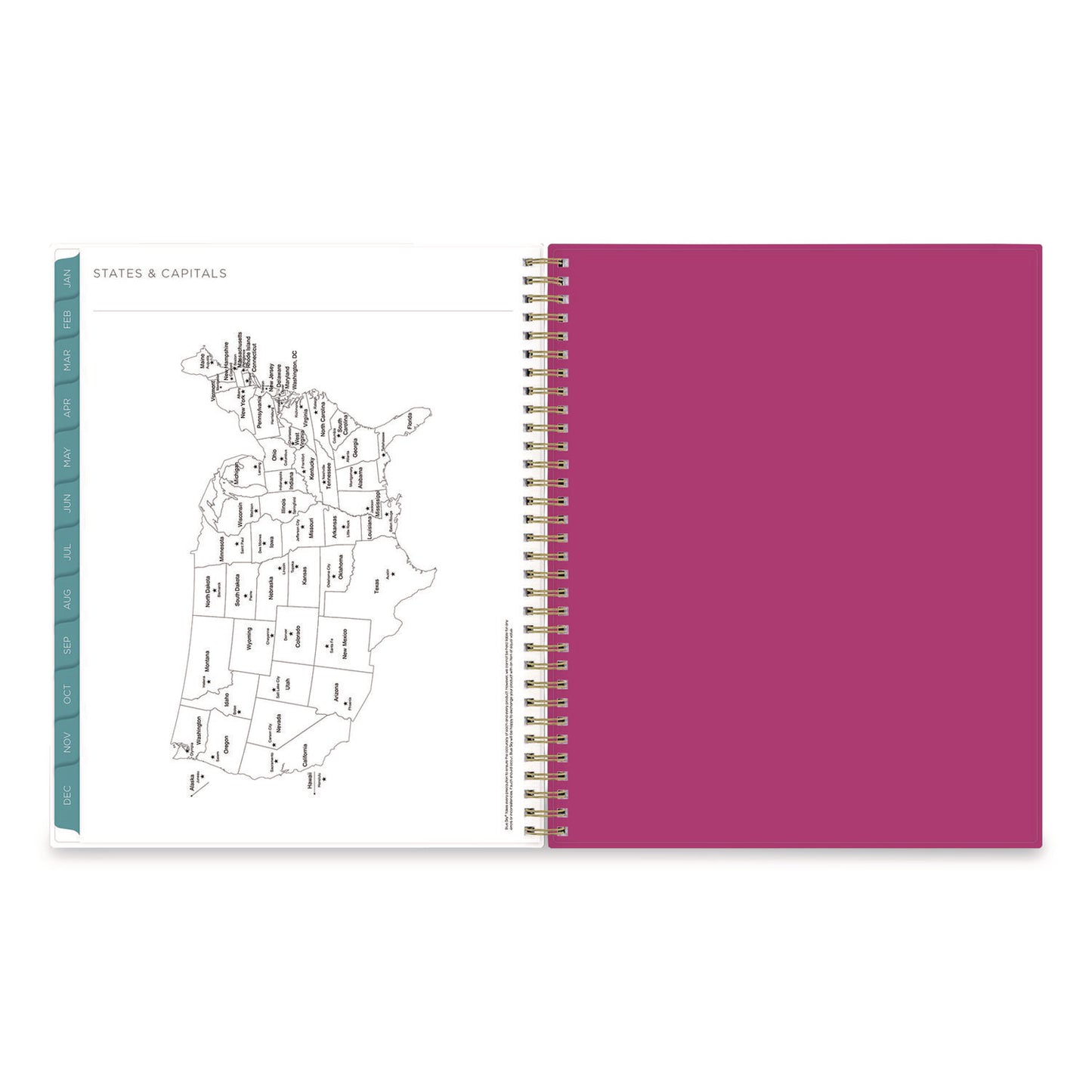 Blue Sky® Kelly Ventura Magenta Bloom Weekly/Monthly Planner, Floral Artwork, 11 x 8.5, Multicolor Cover, 12-Month (Jan to Dec): 2026 (BLS140945)