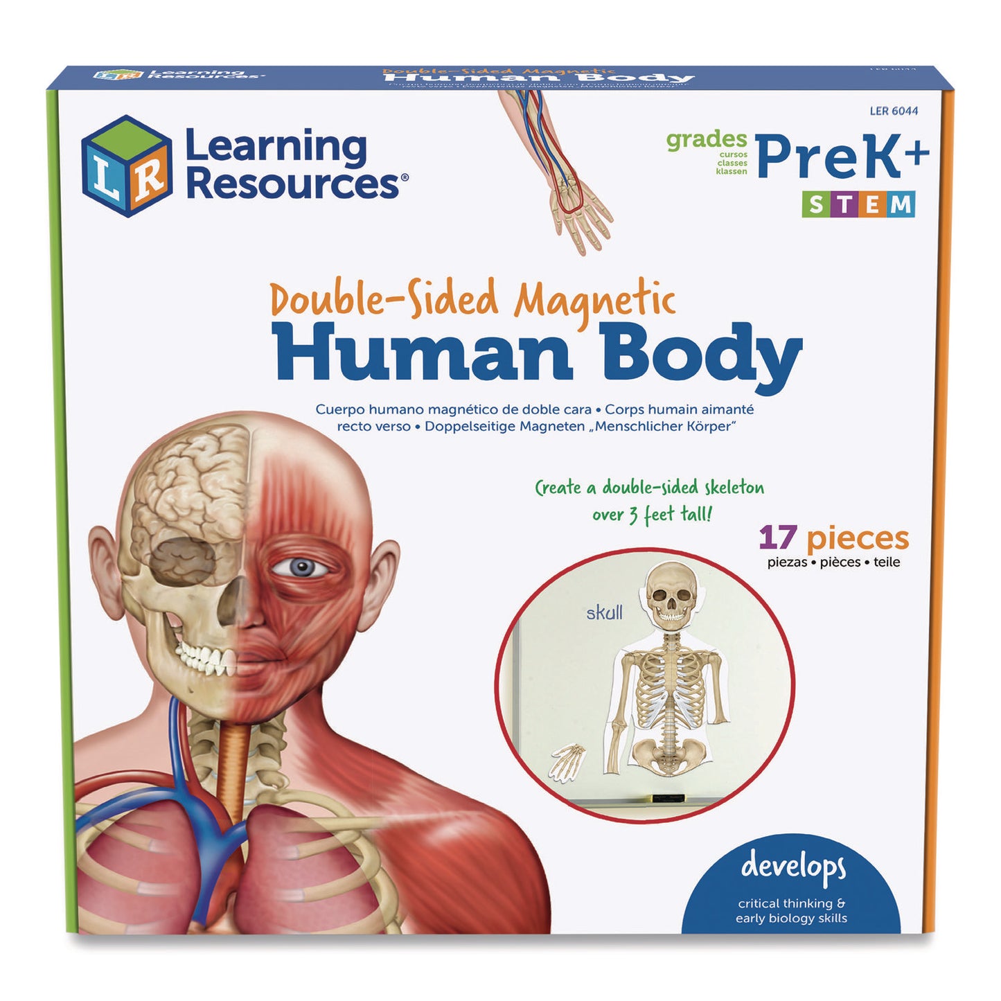 Learning Resources® Double-Sided Magnetic Human Body, Grades K to 5, English/Spanish, Assorted Colors, 17 Pieces (LRNLER6044)