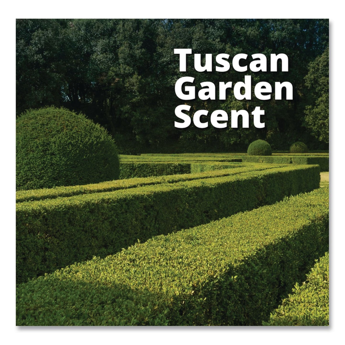 Diversey™ Good Sense Automatic Spray System, Tuscan Garden Scent, 0.67 oz Cartridge, 12/Carton (DVO101109732)