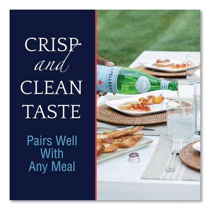 S. Pellegrino® Sparkling Water Bottles, Unflavored, 16.9 oz Bottle, 24/Carton (GRR22002683)