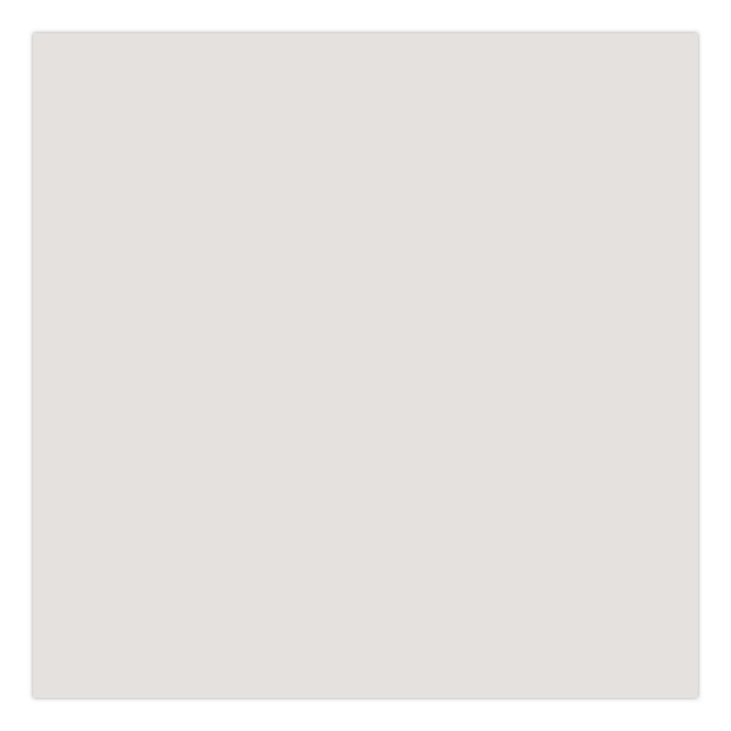 Rust-Oleum® Touch'n Tone Spray Paint, Flat White, 10 oz Aerosol Can, 6/Carton (RST55280830)