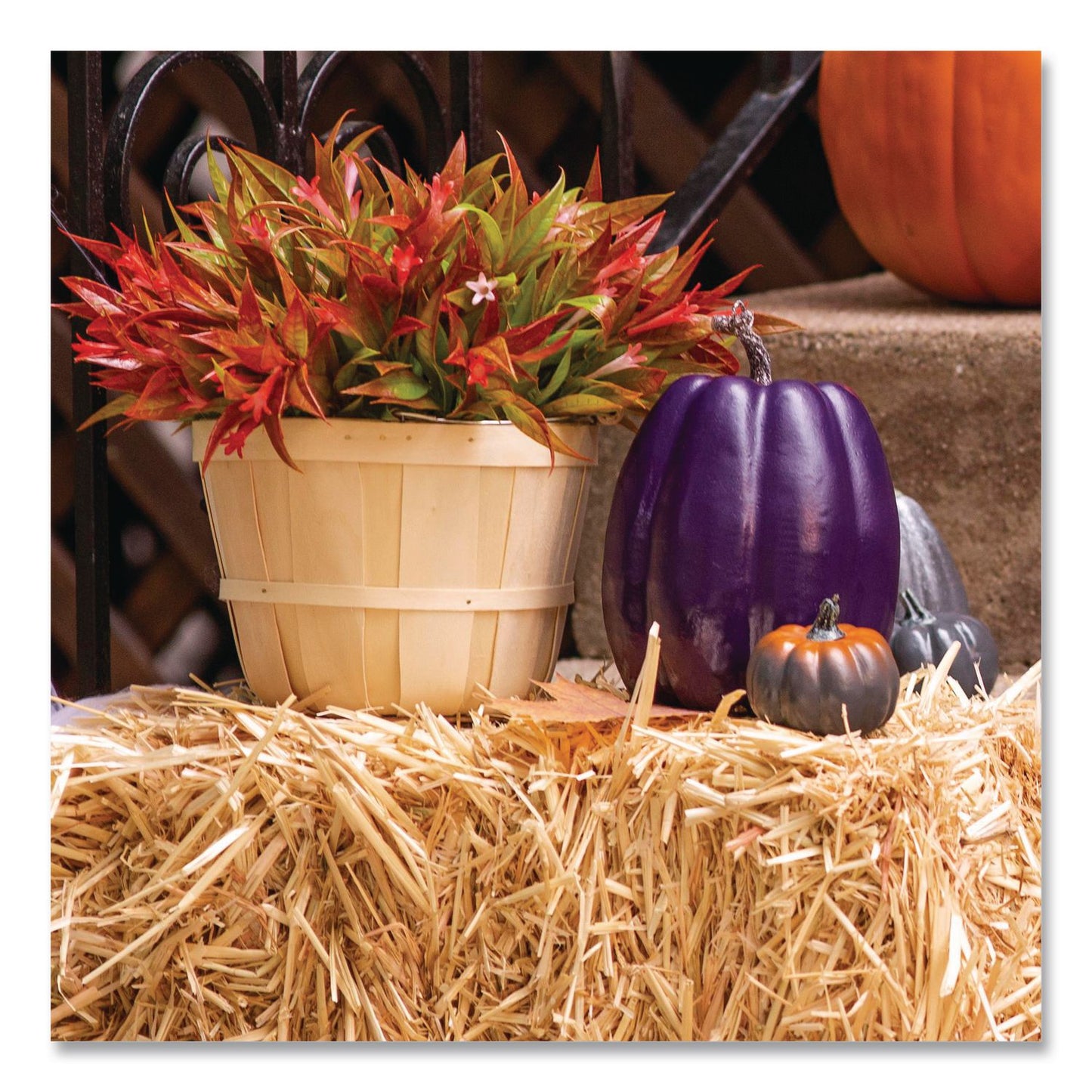 Rust-Oleum® Painter's Touch 2X Ultra Cover Spray Paint, Gloss Purple, 12 oz Aerosol Can, 6/Carton (RST334042)