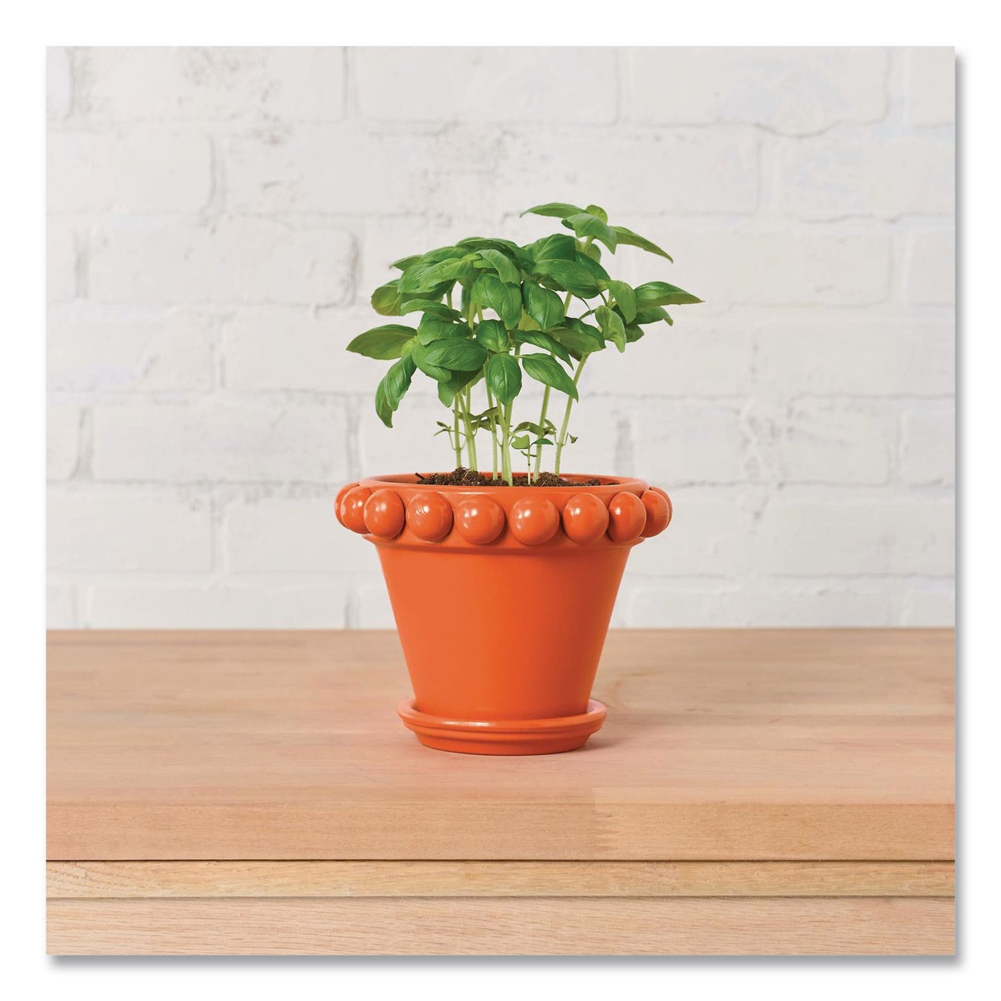 Rust-Oleum® Touch'n Tone Spray Paint, Gloss Orange, 10 oz Aerosol Can, 6/Carton (RST55283830)