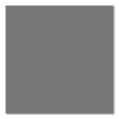Rust-Oleum® Professional Spray Paint, Flat Gray, 15 oz Aerosol Can, 6/Carton (RST7582838CT)