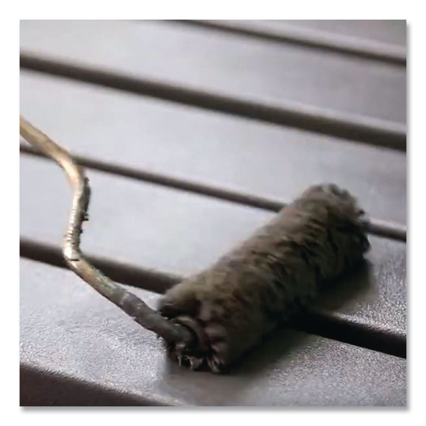 Rust-Oleum® High Performance 9100 System DTM Epoxy Mastic Paint, Gloss Clear, 1 gal Bucket/Pail, 2/Carton (RST9101402)