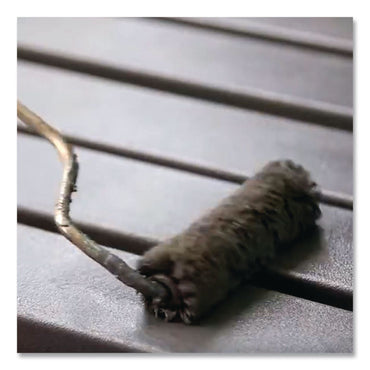 Rust-Oleum® High Performance 9100 System DTM Epoxy Mastic Paint, Gloss Clear, 1 gal Bucket/Pail, 2/Carton (RST9101402)