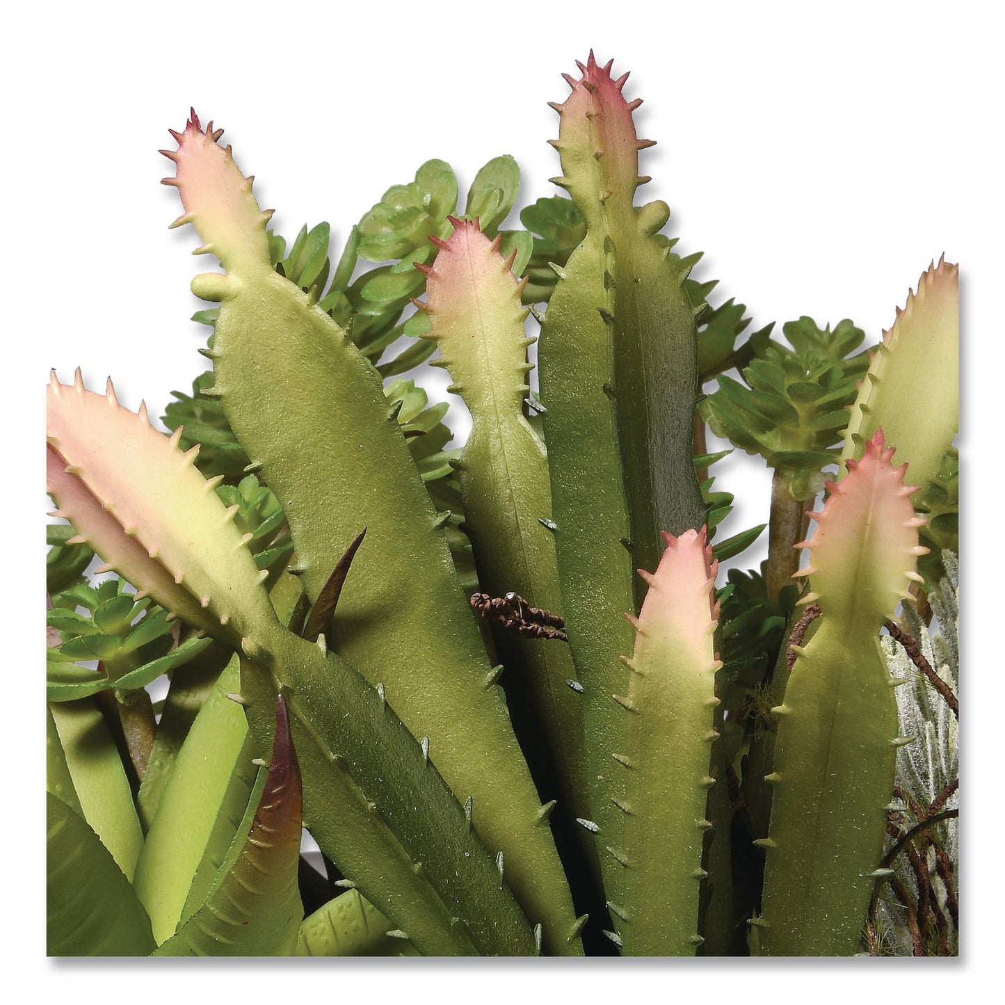 National Tree Company® Spring Potted Plant, 8" x 8" x 8", Green Plant, White Pot (NTTRASXF169W)