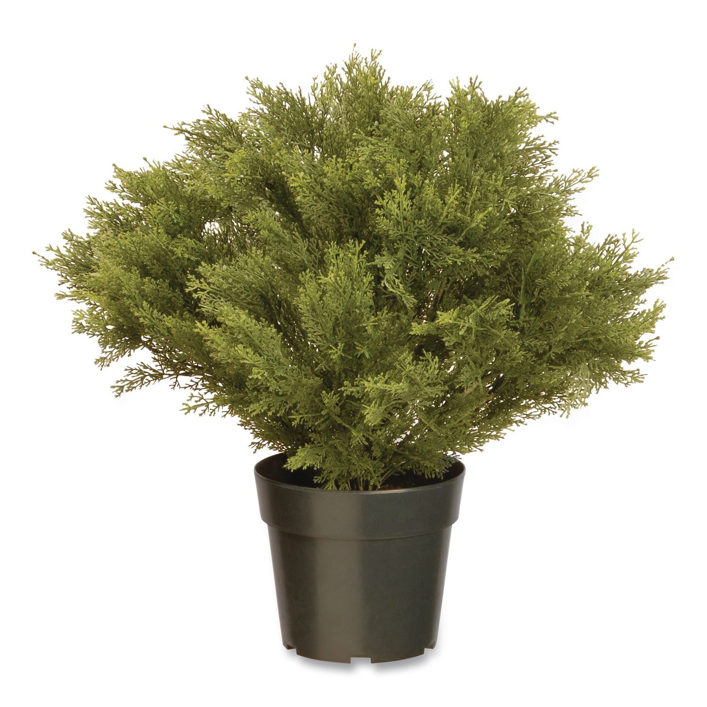National Tree Company® Globe Juniper Topiary Tree, 20" x 28" x 20", Green Tree, Green Pot (NTTLCB828)