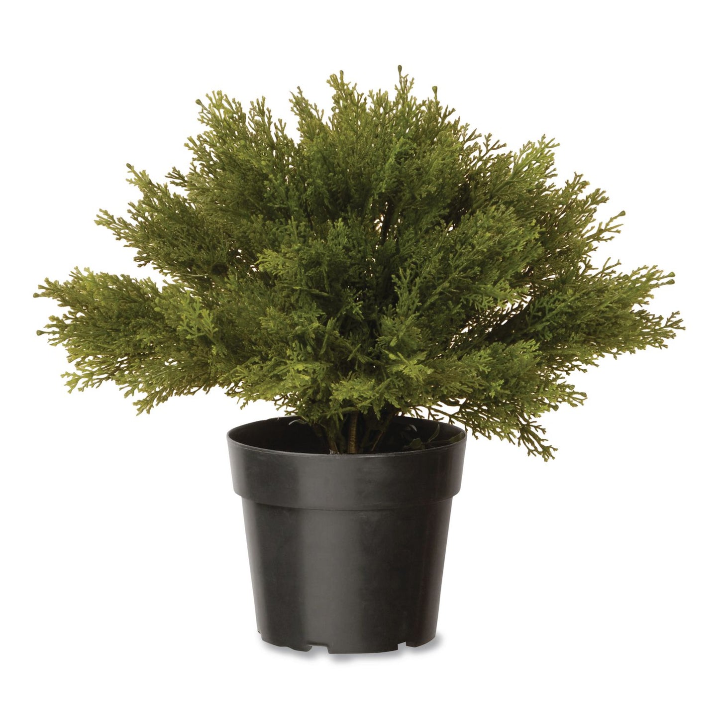 National Tree Company® Artificial Globe Juniper, 15" x 15" x 15", Green Plant, Green Pot (NTTLCB4151)