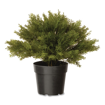 National Tree Company® Artificial Globe Juniper, 15" x 15" x 15", Green Plant, Green Pot (NTTLCB4151)