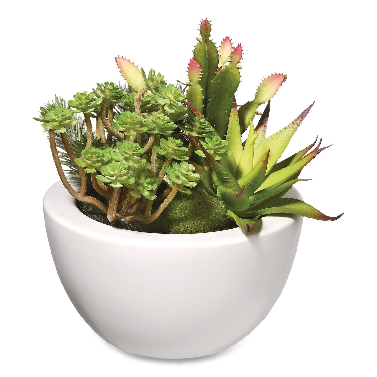 National Tree Company® Spring Potted Plant, 8" x 8" x 8", Green Plant, White Pot (NTTRASXF169W)