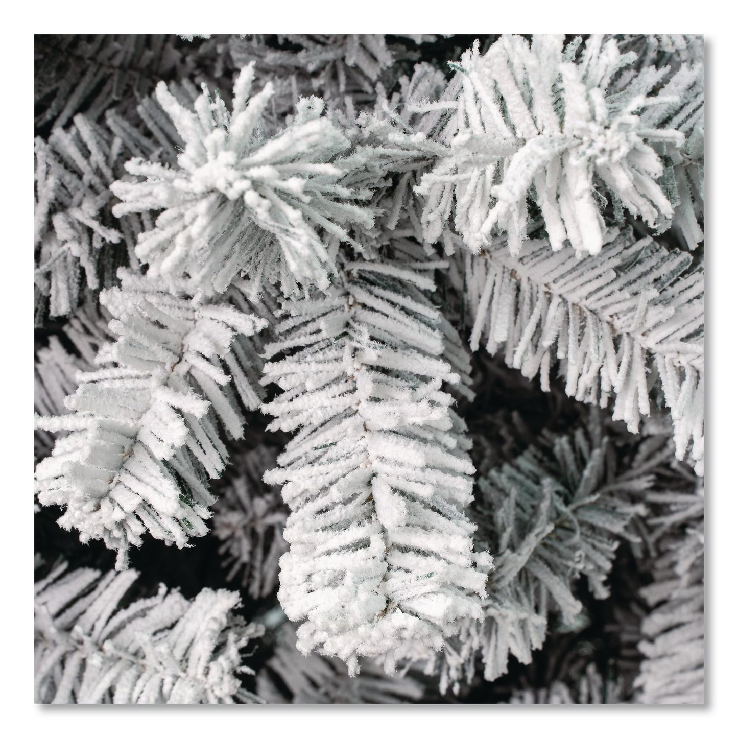 National Tree Company® Acacia Pencil Slim Flocked Tree, 26" x 26" x 88.5", Green Tree, Green Tree Stand (NTTAC10050475F)