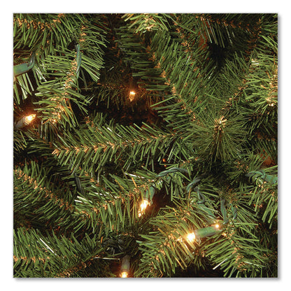 National Tree Company® Pre-Lit Aspen Spruce Slim Tree, 38" x 38" x 72", Green Tree, Green Tree Stand (NTTAP730060)